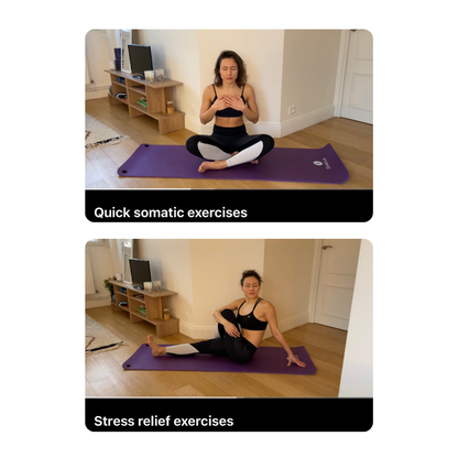 Nervous System Regulation